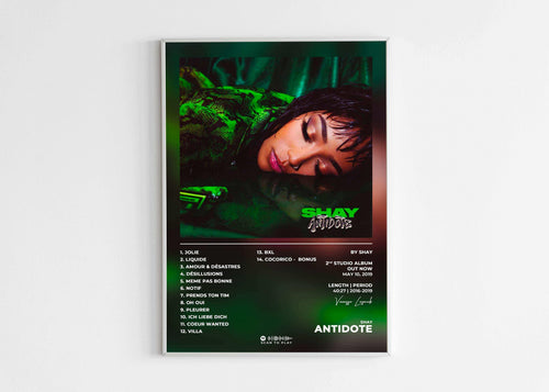 Antidote Shay Poster - Backyard