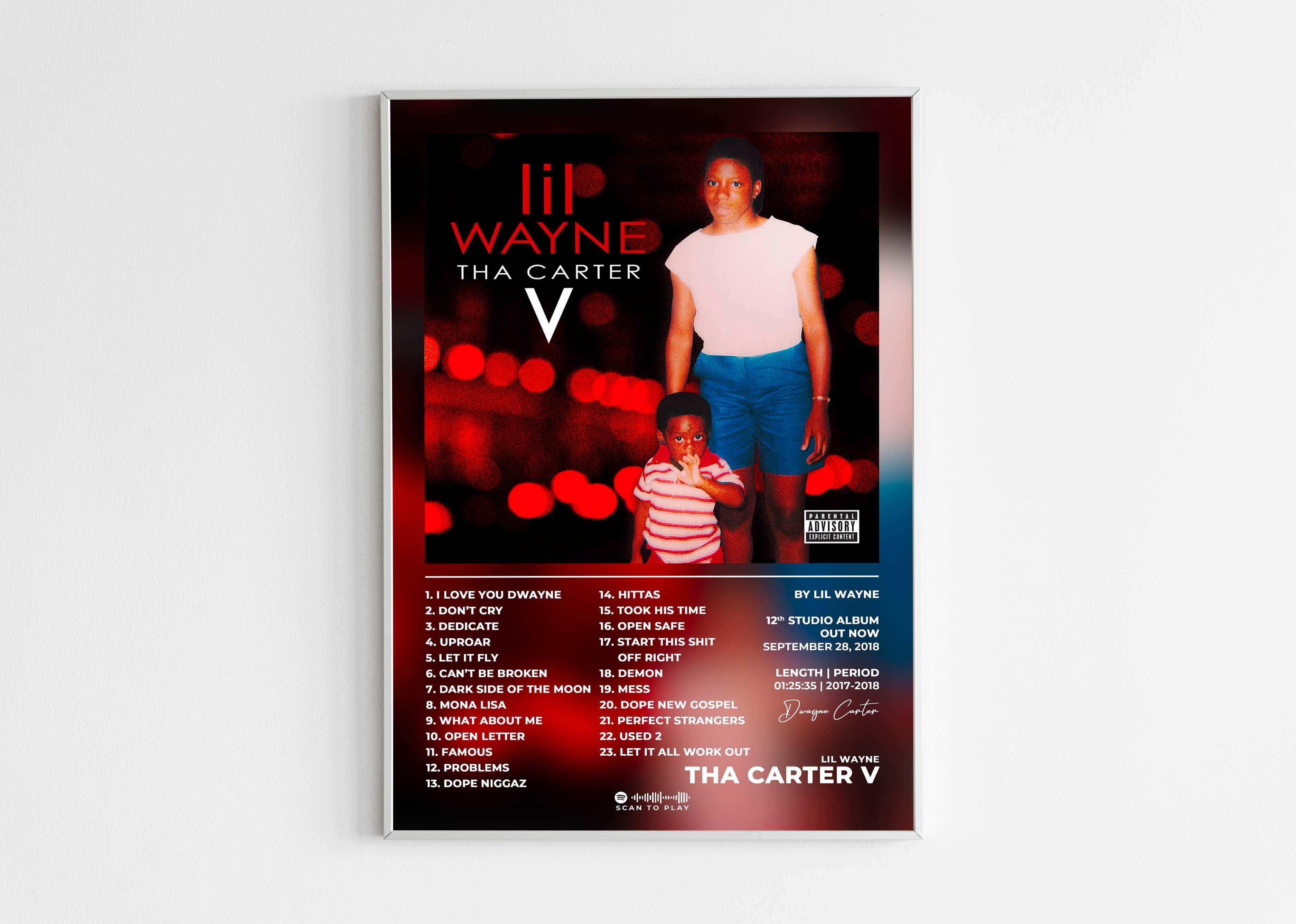 Tha Carter 5 Lil Wayne Poster - Backyard