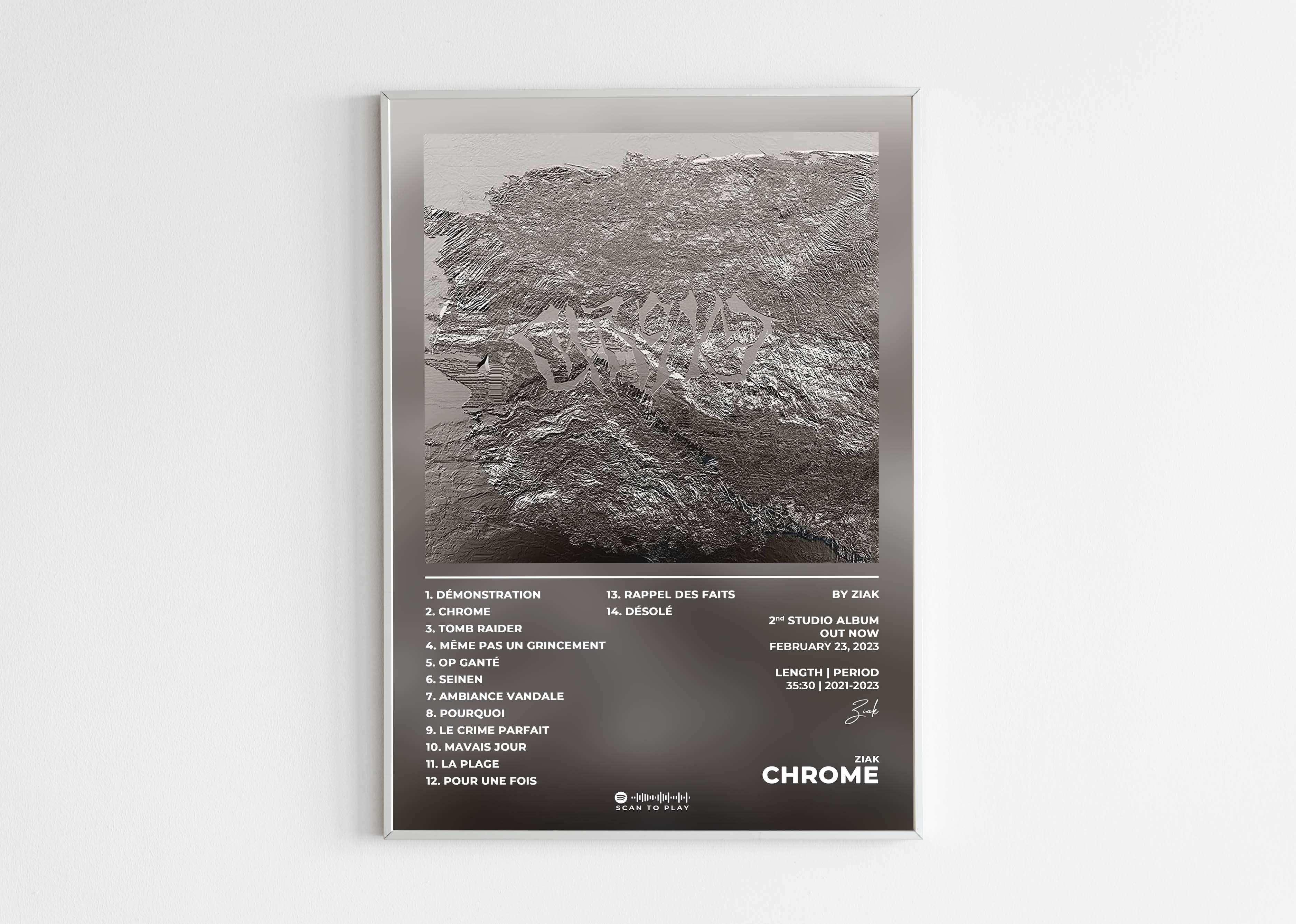 Chrome Ziak Poster - Backyard