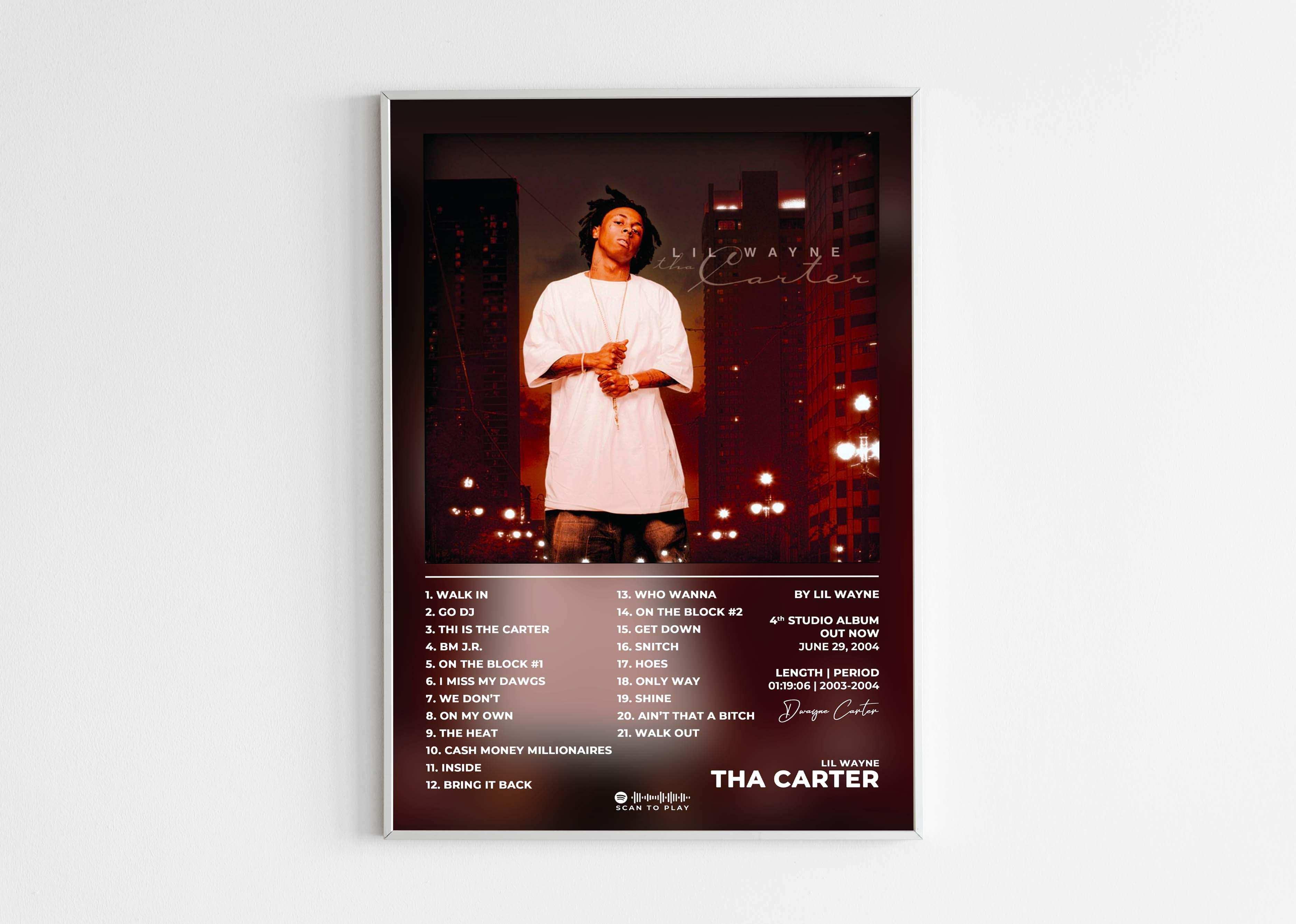 Tha Carter Lil Wayne Poster - Backyard
